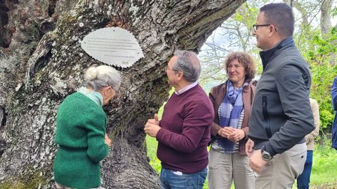 Celebracin do festival Latexos do Rural en Ris