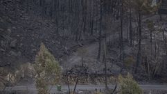 En el incendio de Pantn y Sober ardi de todo, desde arbolado autctono hsata vias pasando por grandes plantaciones de pino