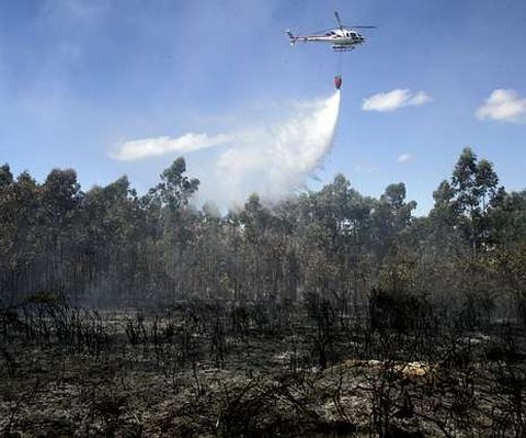 El apoyo del helic�ptero fue clave para frenar las llamas