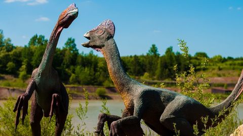 A desaparici�n dos dinosauros marca os l�mites da era Mesozoica