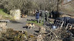 La encargada del refugio y los dos agentes medioambientales, ayer en el terreno donde estaban los perros en Meixonfr�o