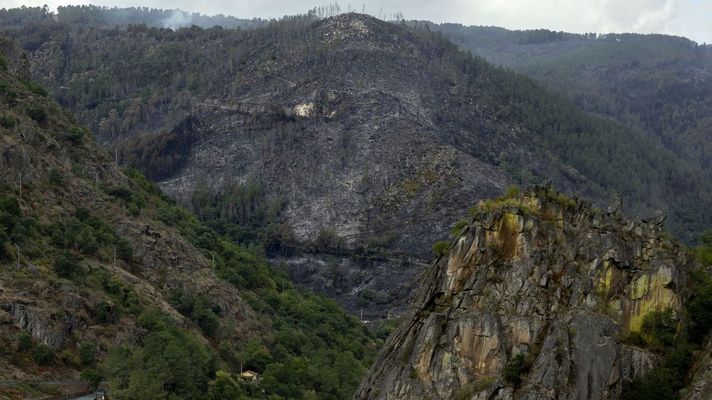 Imagen de una de las zonas afectadas por los incendios forestales del verano pasado en Ourense