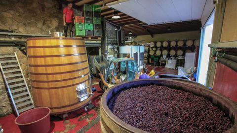 Los depsitos de madera se reservan para los vinos que pasan por una crianza prolongada