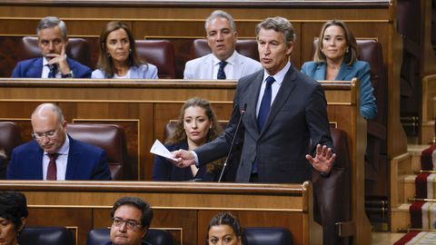 Alberto Nez Feijoo, en su intervencin en la sesin de control