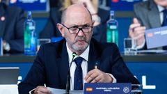 Rafael Louz�n, durante la Asamblea General Extraordinaria de la RFEF.