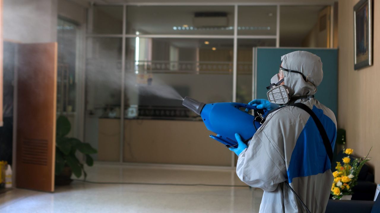 El infierno de la plaga de chinches en París: «Me sentí como una leprosa»