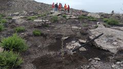 T�cnicos y miembros de la comunidad de montes revisaron la evoluci�n de la nueva plantaci�n