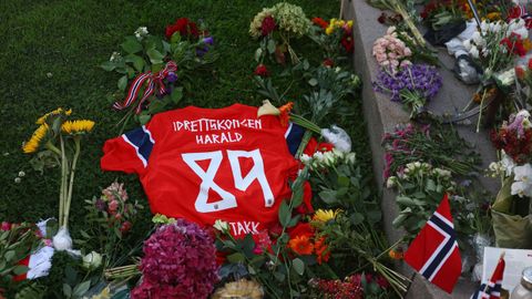 Una camiseta de la selecci�n internacional de Noruega, ante el palacio real de Oslo