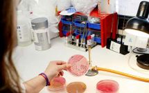 El gasto interno anual en investigaci�n de la Universidade supera los cien millones de euros.