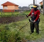 El juzgado aval� la implantaci�n de las brigadas de tarde.