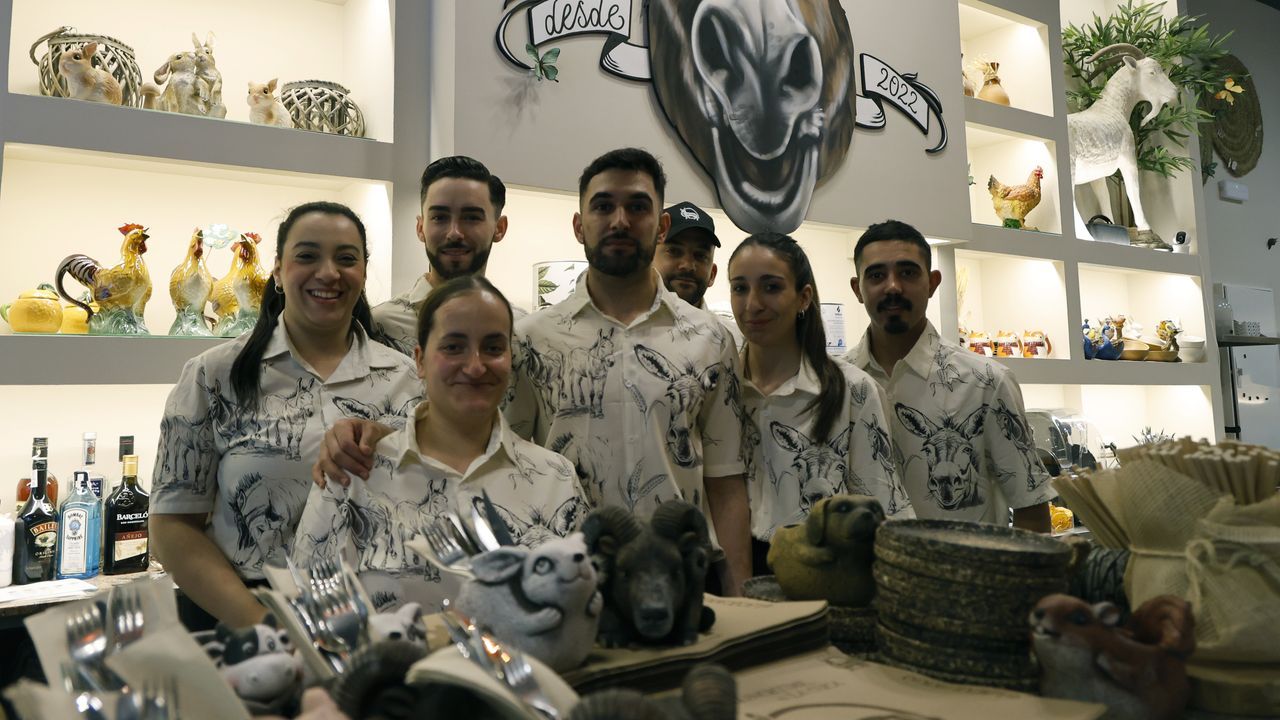 Los locales de brunch de Vigo y Ourense que inspiró la burra Cuca