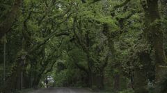La naturaleza sigue su curso en Santiago