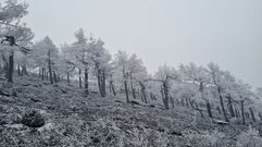 Primera nevada del ao en Manzaneda