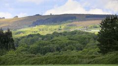 Los datos del monte estar�n m�s accesibles con los programas de la Xunta