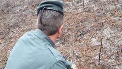 Un agente del Seprona en una zona incendiada.