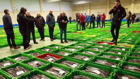 Compradores en la subasta de merluza de volanta en Celeiro, el 5 de marzo del 2026.