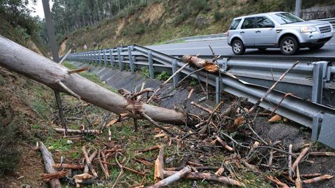 Un �rbol cay� sobre la carretera V.G.4.7.  provocando un accidente