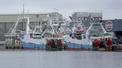 Barcos pesqueros en el puerto de Mar�n