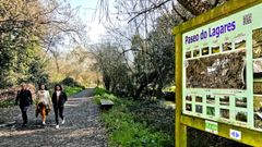 La tradescantia y la campa��a son especies invasoras que proliferar�n r�o abajo del Lagares.