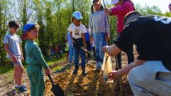 Plantaci&oacute;n de &aacute;rboles para un parque micol&oacute;gico en Nantes, en Sanxenxo