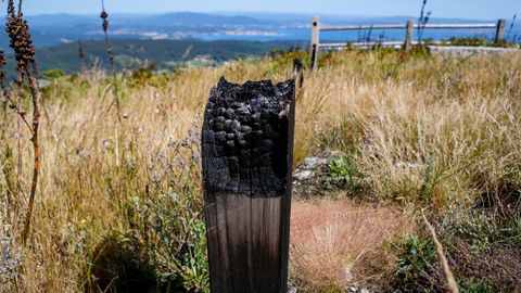 As est el monte de Barbanza un ao despus del gran incendio