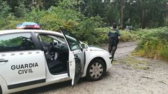 Afectados y concellos dieron parte a la Guardia Civil de los robos ocurridos en los municipios de Cotobade y Ponte Caldelas. 