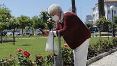 Una mujer fotograf�a una de las flores de la renovada Rosaleda de los jardines de M�ndez N��ez de A Coru�a