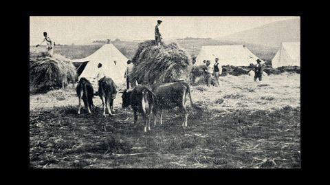 Reparto de paja en el campamento a cargo de la administraci�n militar