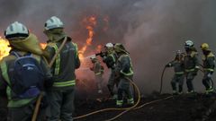 Operativo de Medio Rural trabajando este mircoles en el incendio forestal de Baleira