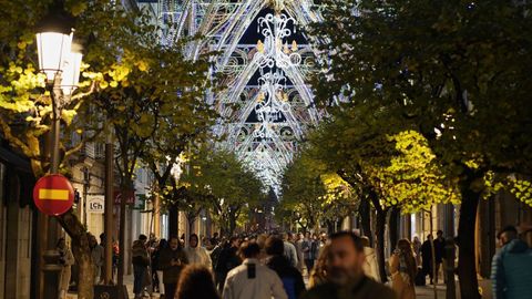 Iluminación de la calle del Paseo en las últimas Navidades.