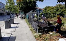 La zona verde entre los dos edificios de Galeras recobr� la normalidad el mi�rcoles. 