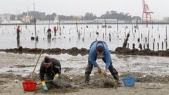 Finalmente las mariscadoras de a pie tambi�n podr�n solicitar ayudas por el cese de actividad durante la pandemia