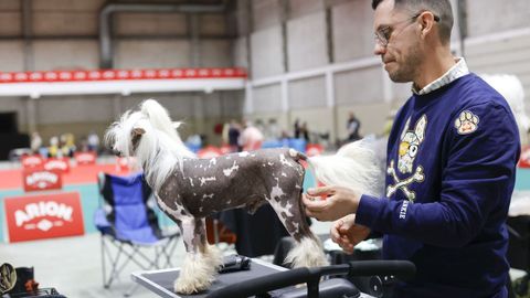 Exposici�n Canina de Galicia en Lugo