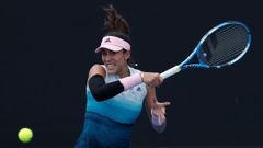 El �lbum del d�a