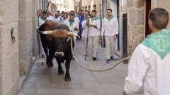 O boi percorreu as r�as guiado polos homes do sede�o