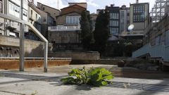 La piscina termal de As Burgas sigue cerrada.