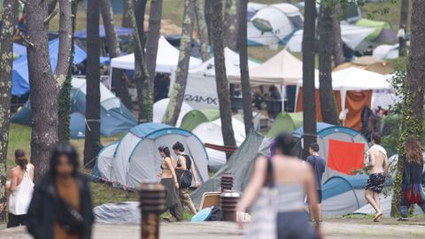 Imagen tomada en la acampada en el pinar de Morouzos.