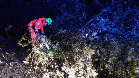 rboles tirados en Narn por el mal tiempo