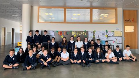Alumnos del colegio Miraflores realizaron un Hotel de Insectos