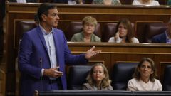 El presidente Pedro S�nchez en la sesi�n de control al Gobierno.