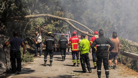 Bomberos y voluntarios despejan una carretera de �rboles ca�dos durante el incendio 