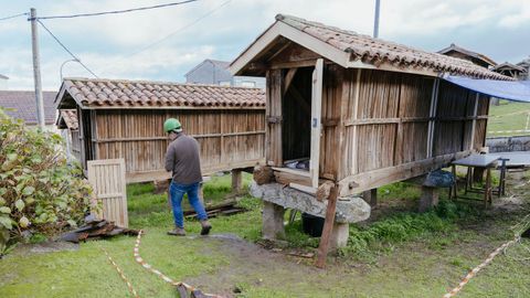 La rehabilitacin durar ms de un mes y ser en cad auno de los 34 hrreos