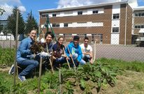 Alumnado del IES Vilar Ponte se implic�, con ayuda de sus familiares, en el huerto ecol�gico del centro.