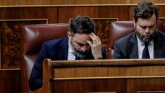 Santiago Abascal e Iv�n Espinosa de los Monteros, caras visibles de Vox en el Congreso de los Diputados