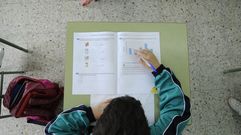 Imagen de archivo de un alumno haciendo la prueba diagn�stica de final de curso en un colegio de Silleda