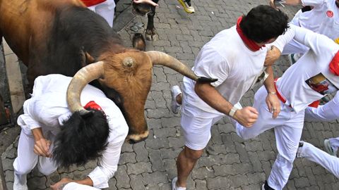  Los toros de la ganader�a gaditana de La Palmosilla a su paso por el tramo de Telef�nica