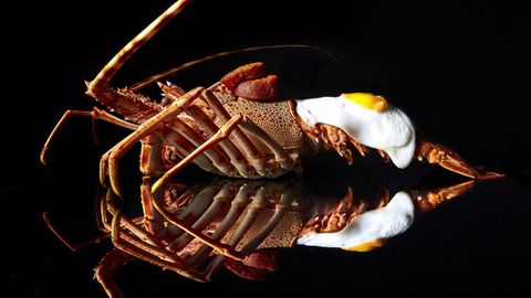 Langosta, huevo frito y sobrasada es la sugerente combinación del chef de origen francés David Grussautte desde la localidad de Sant Josep de sa Talaia (Ibiza)