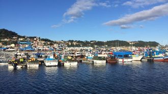 Puerto de Bueu, una de las principales bases de la flota de bajura en la r�a de Pontevedra