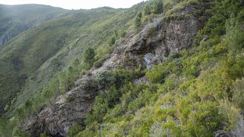 Las paredes de roca del socavón minero asoman entre la densa vegetación de la ladera