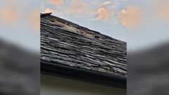 Agujero que est�n haciendo las velutinas en el tejado. El nido se encuentra dentro, en el desv�n